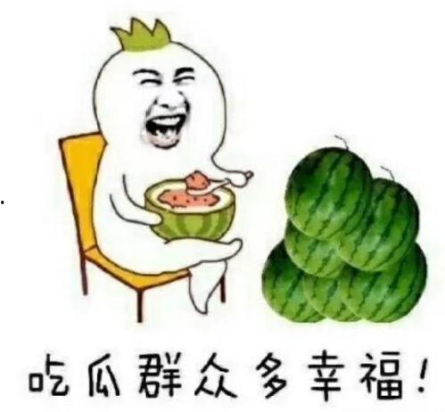 娱乐圈吃瓜西瓜,西瓜与吃瓜者的甜蜜较量